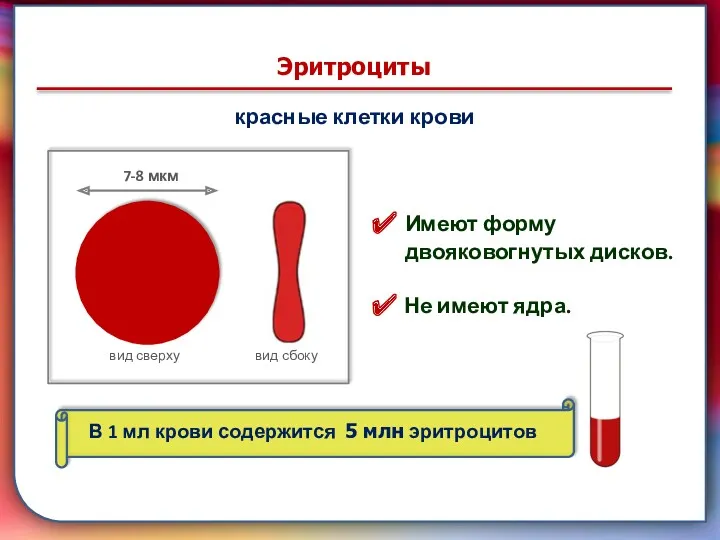 7-8 мкм Эритроциты красные клетки крови вид сверху вид сбоку
