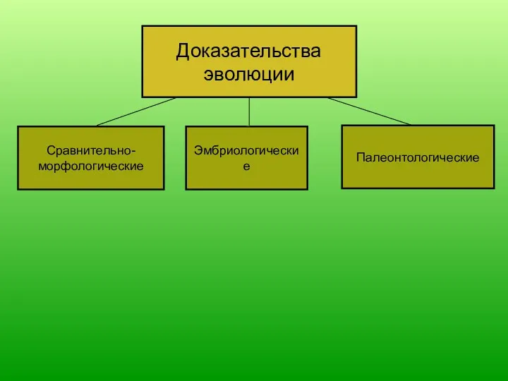 Сравнительно- морфологические Эмбриологические Палеонтологические Доказательства эволюции