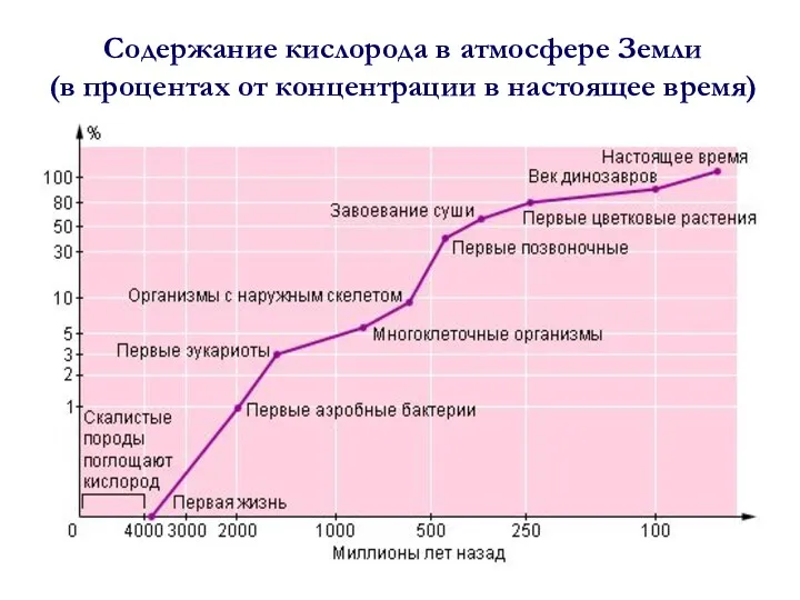 Содержание кислорода в атмосфере Земли (в процентах от концентрации в настоящее время)