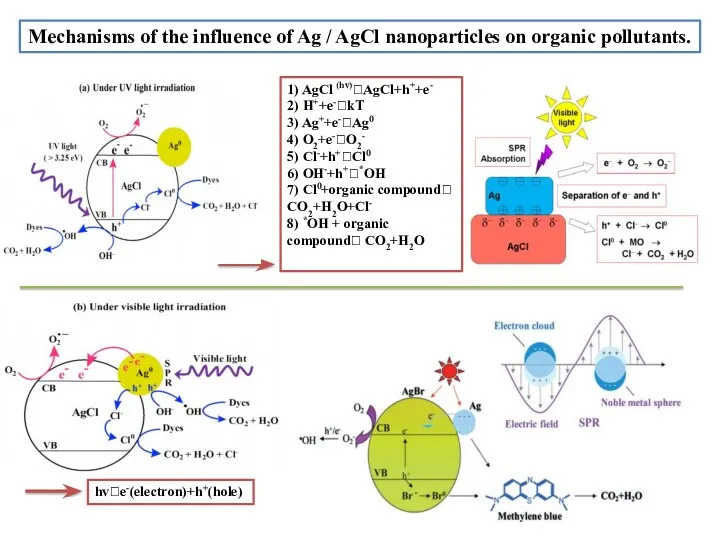 Mechanisms оf the influence оf Ag / AgСl nanоparticles оn