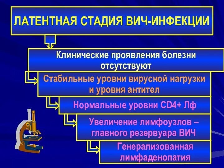 ЛАТЕНТНАЯ СТАДИЯ ВИЧ-ИНФЕКЦИИ Клинические проявления болезни отсутствуют Стабильные уровни вирусной нагрузки и уровня