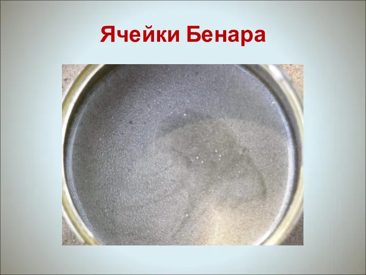 Ячейки Бенара