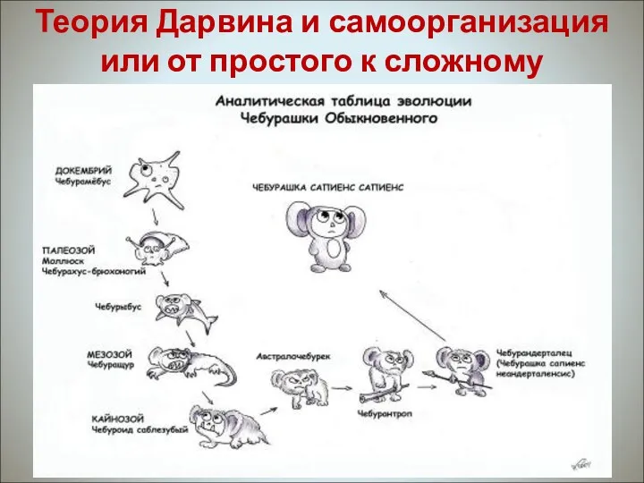 Теория Дарвина и самоорганизация или от простого к сложному