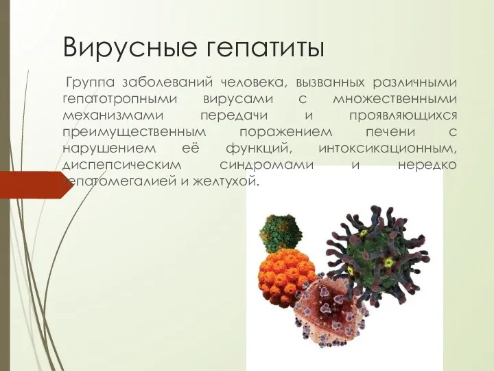 Вирусные гепатиты Группа заболеваний человека, вызванных различными гепатотропными вирусами с