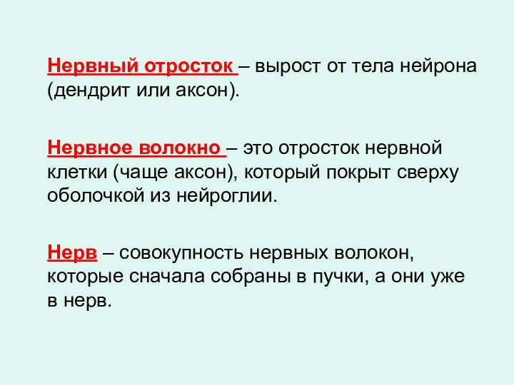 Нервный отросток – вырост от тела нейрона (дендрит или аксон). Нервное волокно –