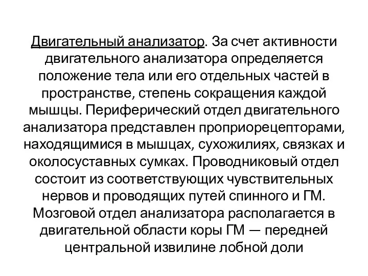 Двигательный анализатор. За счет активности двигательного анализатора определяется положение тела