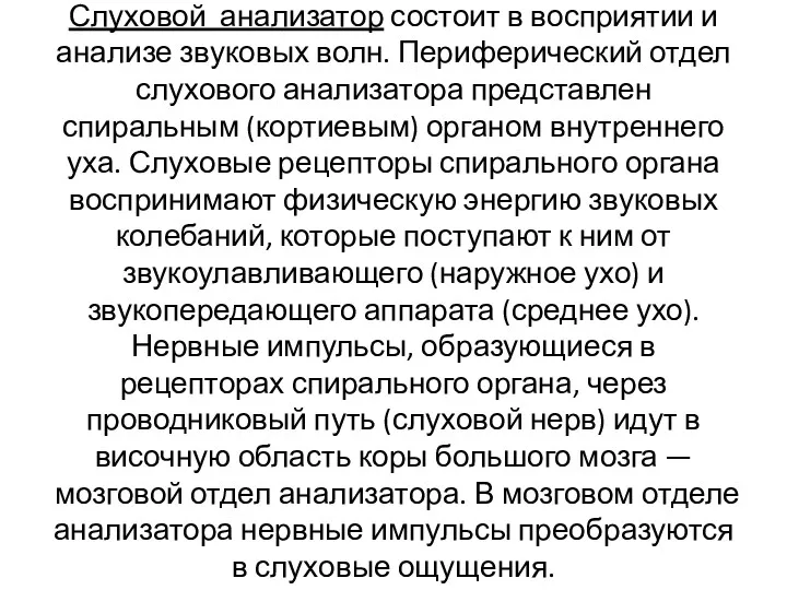 Слуховой анализатор состоит в восприятии и анализе звуковых волн. Периферический