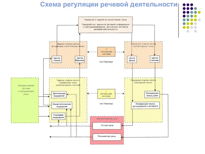 Схема регуляции речевой деятельности