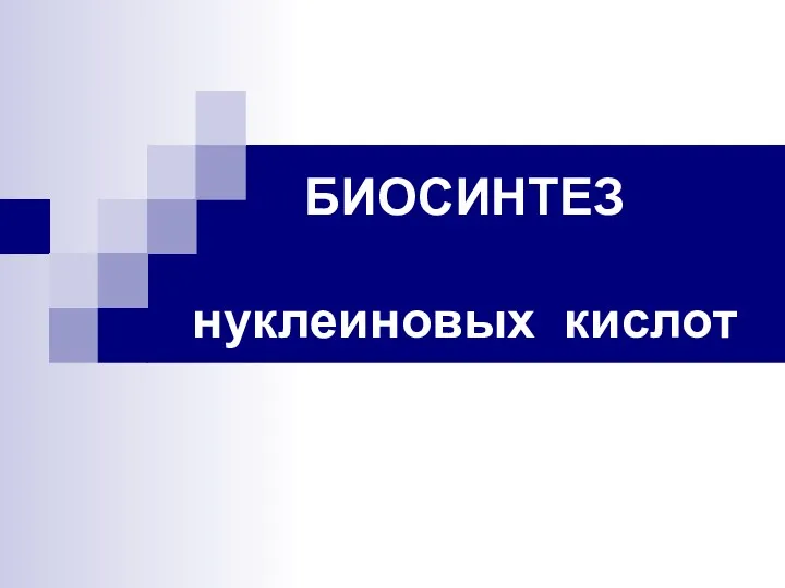 БИОСИНТЕЗ нуклеиновых кислот