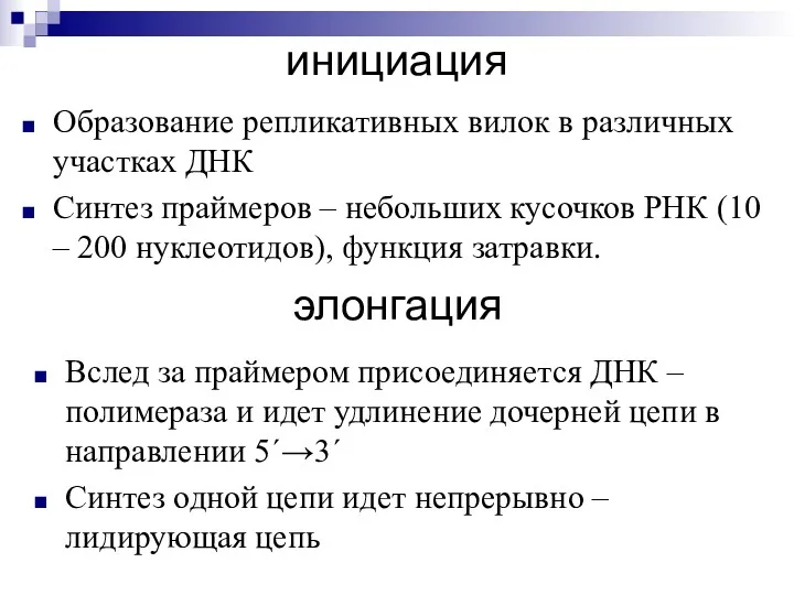 инициация Образование репликативных вилок в различных участках ДНК Синтез праймеров