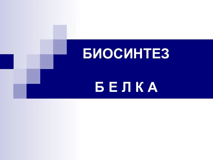 БИОСИНТЕЗ Б Е Л К А