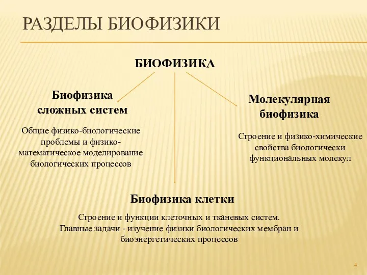 РАЗДЕЛЫ БИОФИЗИКИ Биофизика сложных систем Общие физико-биологические проблемы и физико-математическое