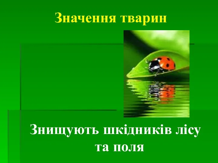 Значення тварин Знищують шкідників лісу та поля