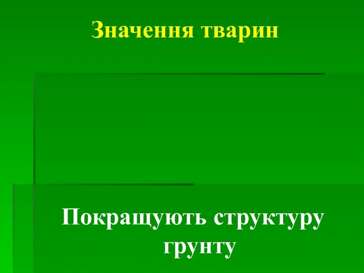 Значення тварин Покращують структуру грунту