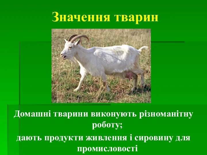 Значення тварин Домашні тварини виконують різноманітну роботу; дають продукти живлення і сировину для промисловості