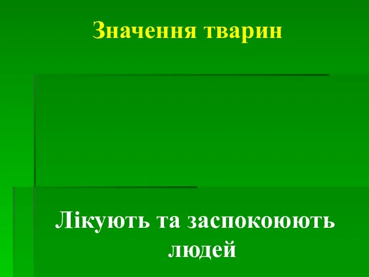 Значення тварин Лікують та заспокоюють людей