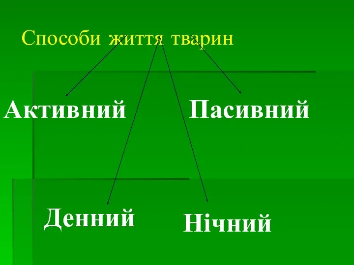 Способи життя тварин Пасивний Денний Нічний Активний