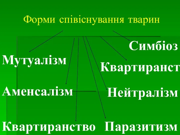 Форми співіснування тварин Мутуалізм Нейтралізм Квартиранство Паразитизм Квартиранство Аменсалізм Симбіоз