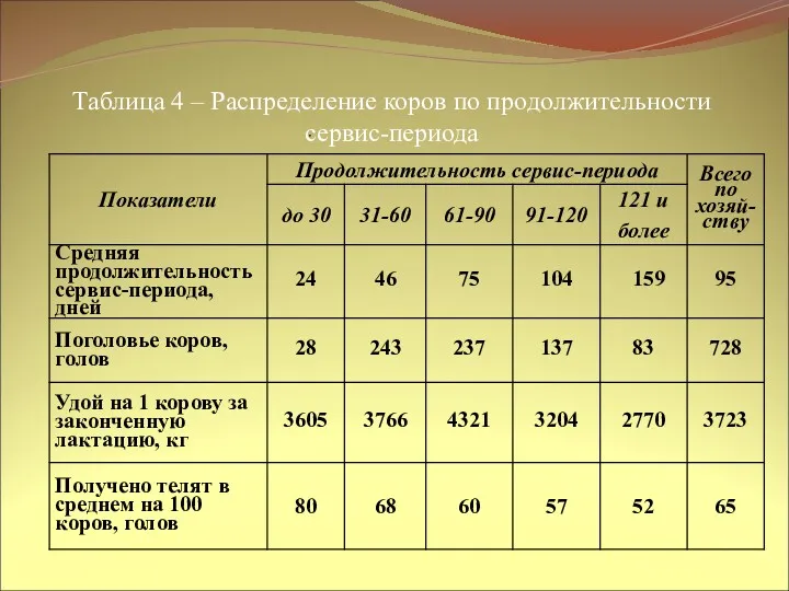 Таблица 4 – Распределение коров по продолжительности сервис-периода