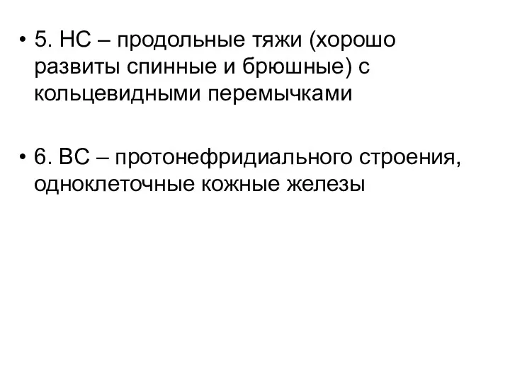 5. НС – продольные тяжи (хорошо развиты спинные и брюшные)