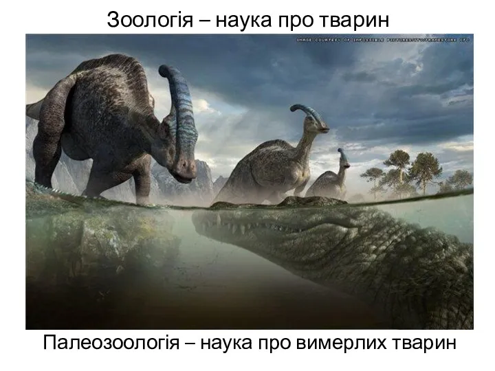 Зоологія – наука про тварин Палеозоологія – наука про вимерлих тварин