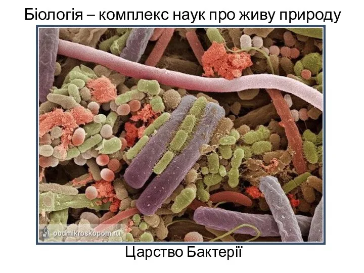 Біологія – комплекс наук про живу природу Царство Бактерії