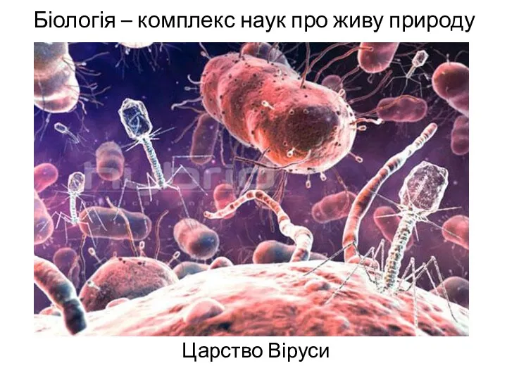 Біологія – комплекс наук про живу природу Царство Віруси