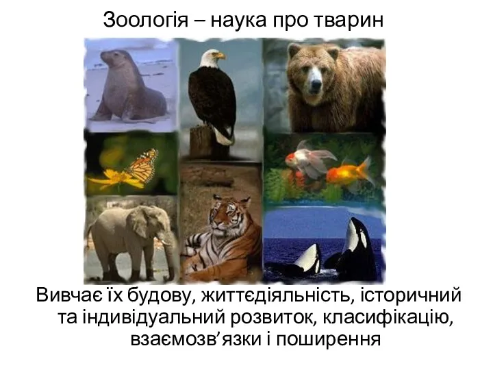 Зоологія – наука про тварин Вивчає їх будову, життєдіяльність, історичний