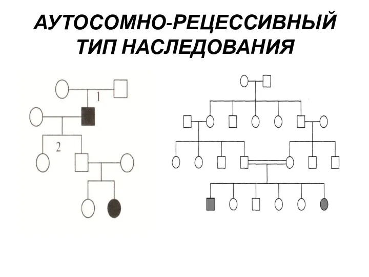 АУТОСОМНО-РЕЦЕССИВНЫЙ ТИП НАСЛЕДОВАНИЯ