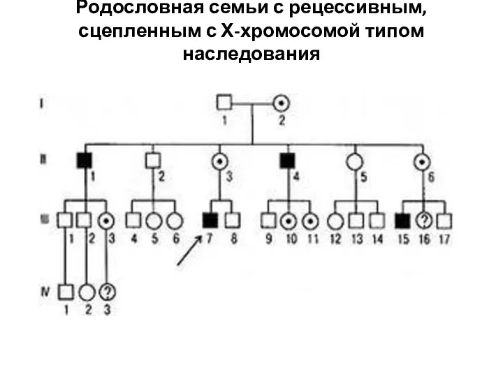 Родословная семьи с рецессивным, сцепленным с Х-хромосомой типом наследования