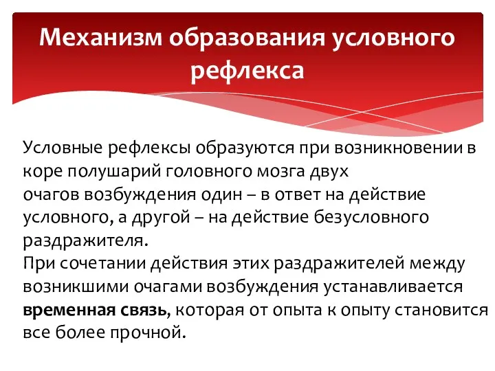 Механизм образования условного рефлекса Условные рефлексы образуются при возникновении в