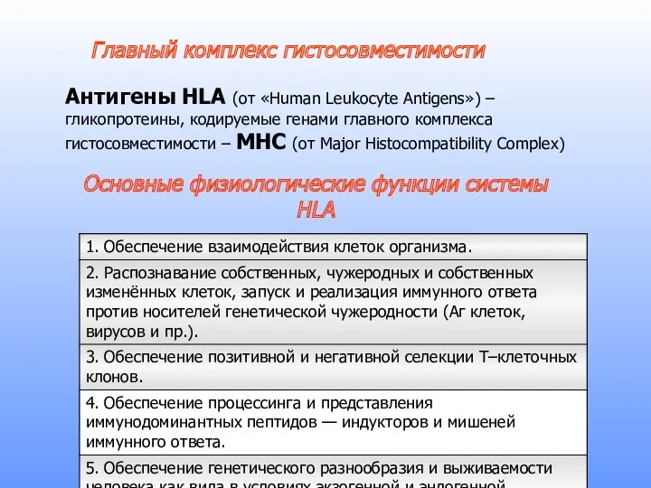 Основные физиологические функции системы HLA Главный комплекс гистосовместимости Антигены HLA