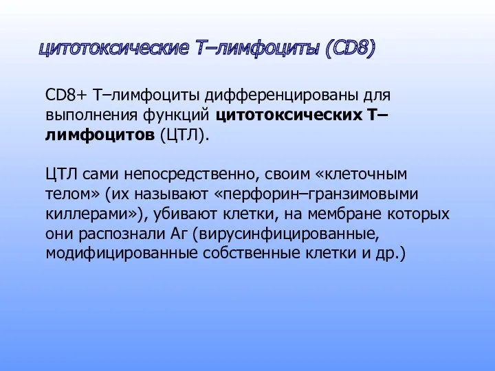 CD8+ T–лимфоциты дифференцированы для выполнения функций цитотоксических T–лимфоцитов (ЦТЛ). ЦТЛ