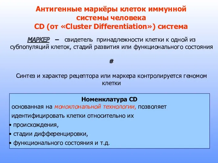 Антигенные маркёры клеток иммунной системы человека CD (от «Cluster Differentiation»)