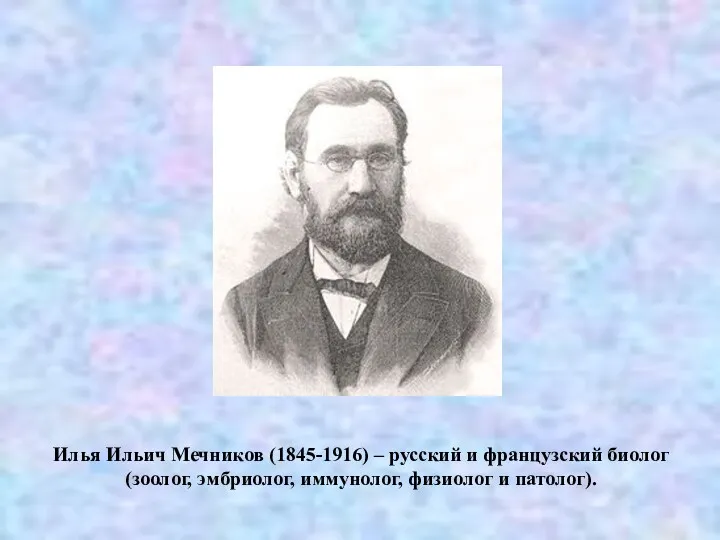 Илья Ильич Мечников (1845-1916) – русский и французский биолог (зоолог, эмбриолог, иммунолог, физиолог и патолог).