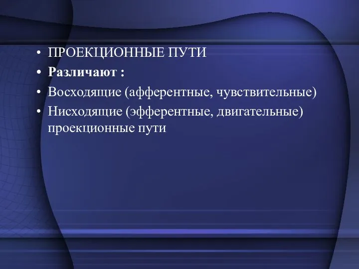 ПРОЕКЦИОННЫЕ ПУТИ Различают : Восходящие (афферентные, чувствительные) Нисходящие (эфферентные, двигательные) проекционные пути