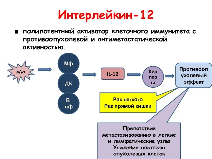 Интерлейкин-12 полипотентный активатор клеточного иммунитета с противоопухолевой и антиметастатической активностью.