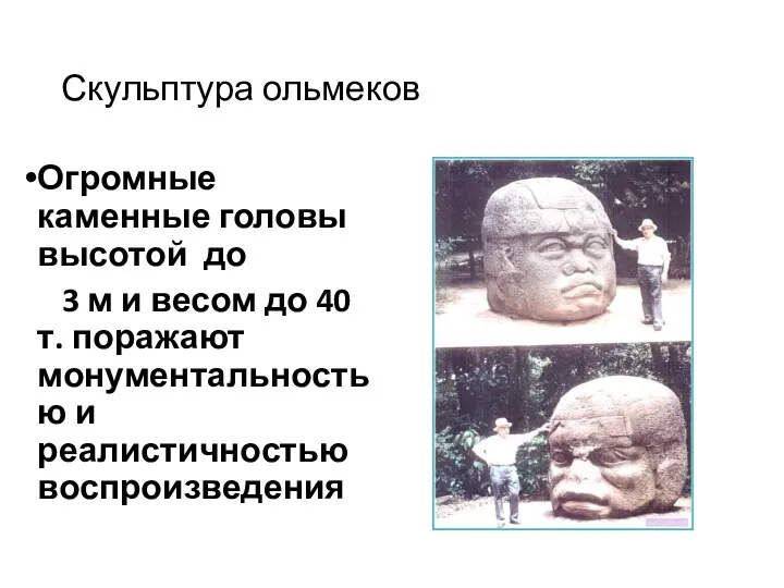 Скульптура ольмеков Огромные каменные головы высотой до 3 м и весом до 40