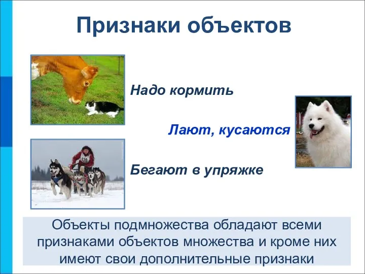 Объекты подмножества обладают всеми признаками объектов множества и кроме них