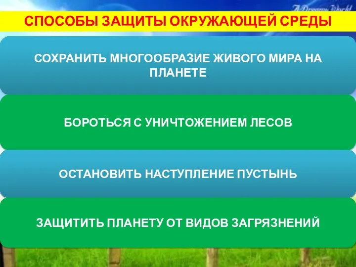 СОХРАНИТЬ МНОГООБРАЗИЕ ЖИВОГО МИРА НА ПЛАНЕТЕ БОРОТЬСЯ С УНИЧТОЖЕНИЕМ ЛЕСОВ