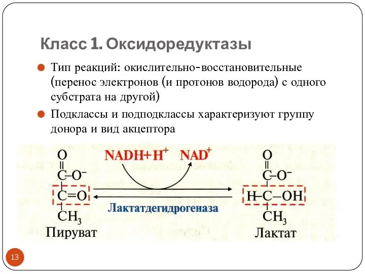 Класс 1. Оксидоредуктазы Тип реакций: окислительно-восстановительные (перенос электронов (и протонов