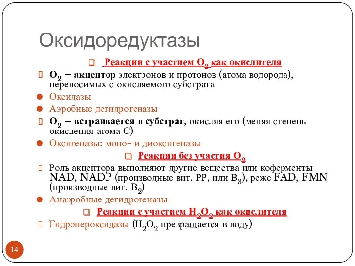 Оксидоредуктазы Реакции с участием О2 как окислителя О2 – акцептор