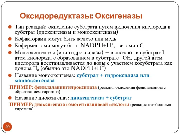 Оксидоредуктазы: Оксигеназы Тип реакций: окисление субстрата путем включения кислорода в