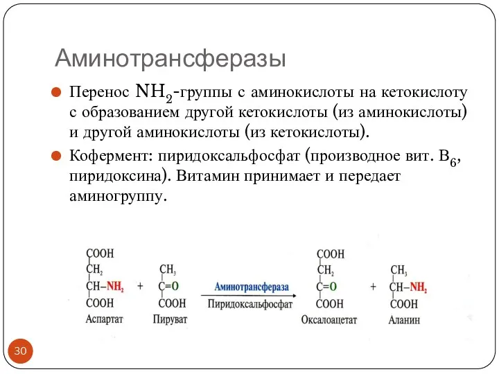 Аминотрансферазы Перенос NH2-группы с аминокислоты на кетокислоту с образованием другой