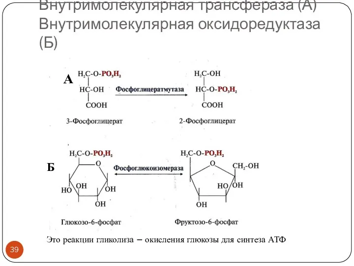 Внутримолекулярная трансфераза (А) Внутримолекулярная оксидоредуктаза (Б) А Б Это реакции