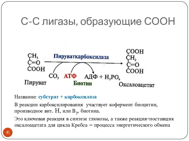 С-С лигазы, образующие СООН Название: субстрат + карбоксилаза В реакции