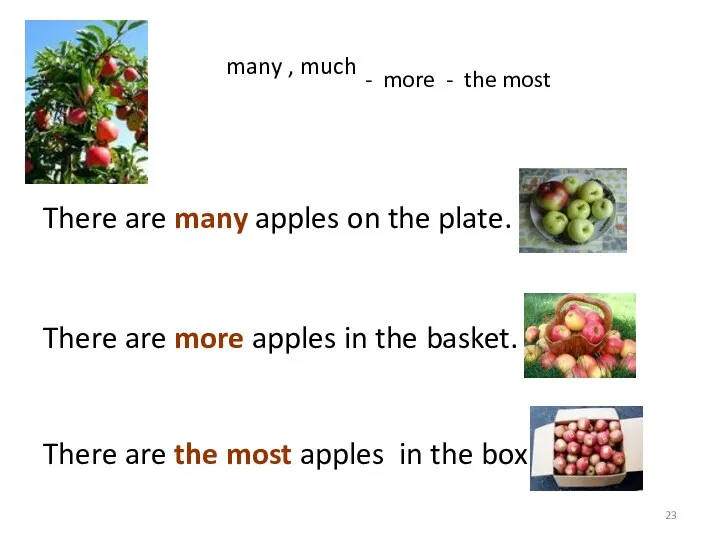 many , much - more - the most There are many apples on