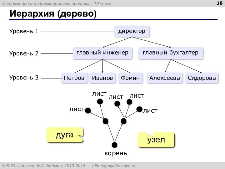 Иерархия (дерево) узел дуга