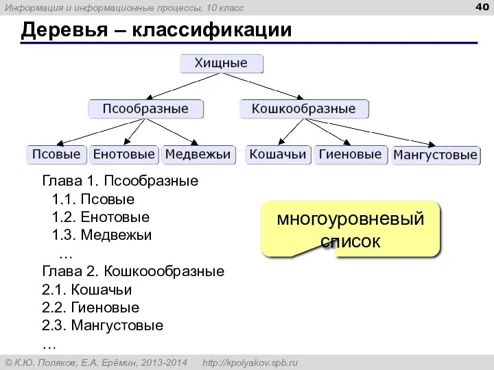 Деревья – классификации Глава 1. Псообразные 1.1. Псовые 1.2. Енотовые