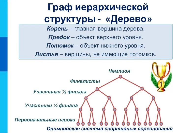 Граф иерархической структуры - «Дерево» Финалисты Участники ½ финала Участники